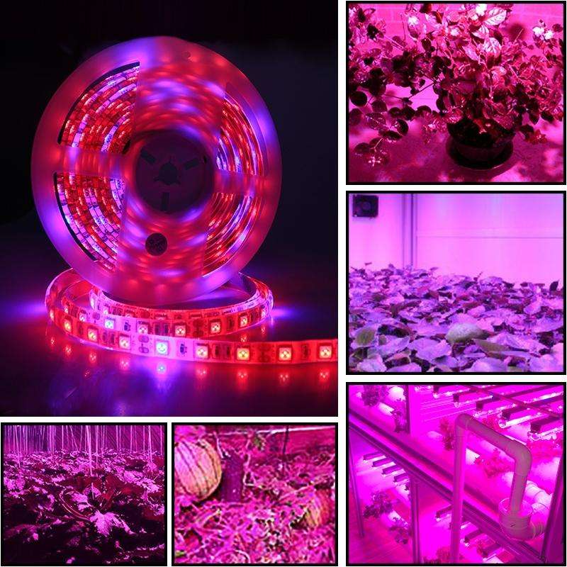 5m 300 LEDs SMD 5050 Full Spectrum LED Strip Light Fitolampy Grow Lights for Greenhouse Hydroponi...