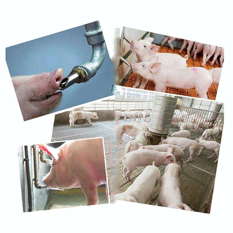 Duckbill Drinking Fountain Stainless Steel with Copper Cap Oblique Pig Mouth Livestock Machinery ...
