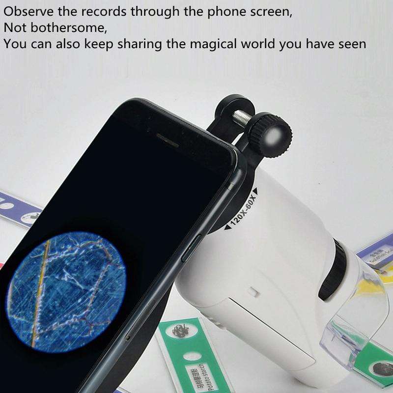 Children Handheld Portable Laboratory Equipment Microscope Toys, Colour: Lite + Bracket (Blue)