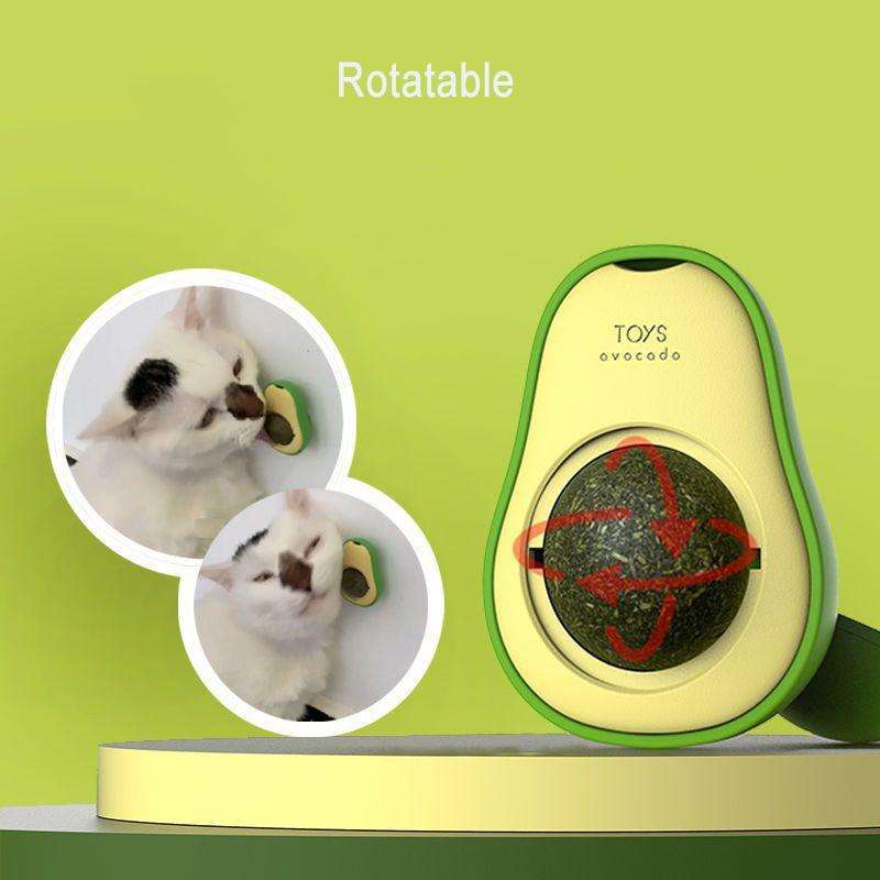 2 PCS Catnip Balls And Avocado Teasing Cat Teeth Cleaning Toy(Gall Fruit)