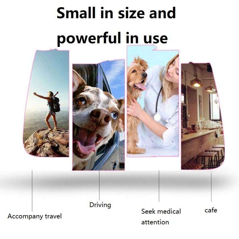 Portable Pet Backpack Dog Go Out Messenger Folding Bag Pet Supplies, Specification: Medium(Purple)