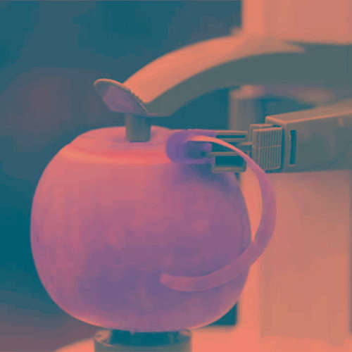 Multifunction Stainless Steel Electric Vegetables Fruit Apple Peeler Peeling Automatic Peeling Ma...