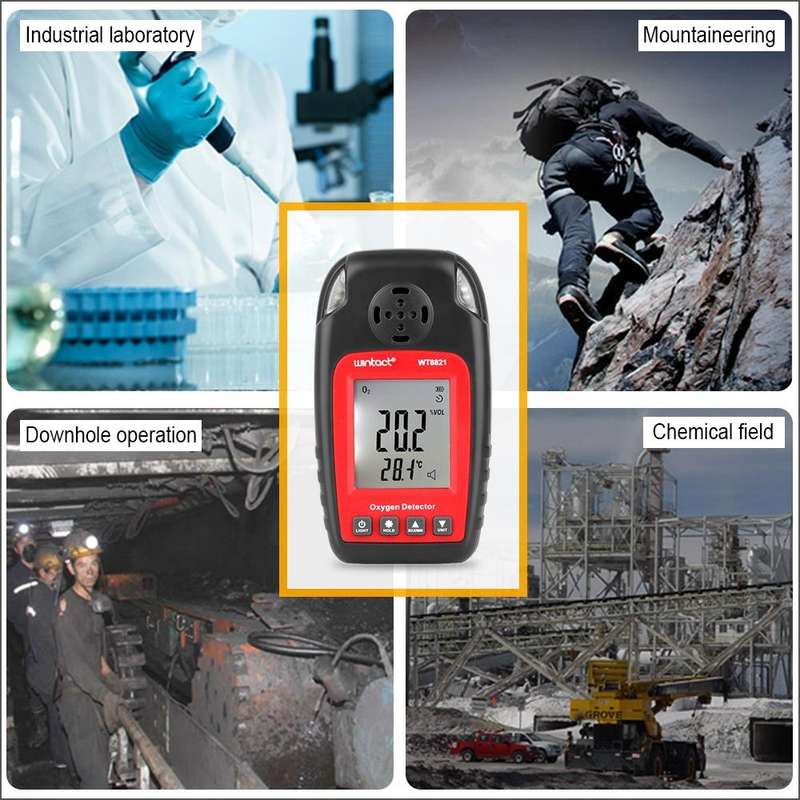 WINTACT WT8821 Oxygen Detector Independent Oxygen Gas Sensor Warning-up High Sensitive Poisoning ...