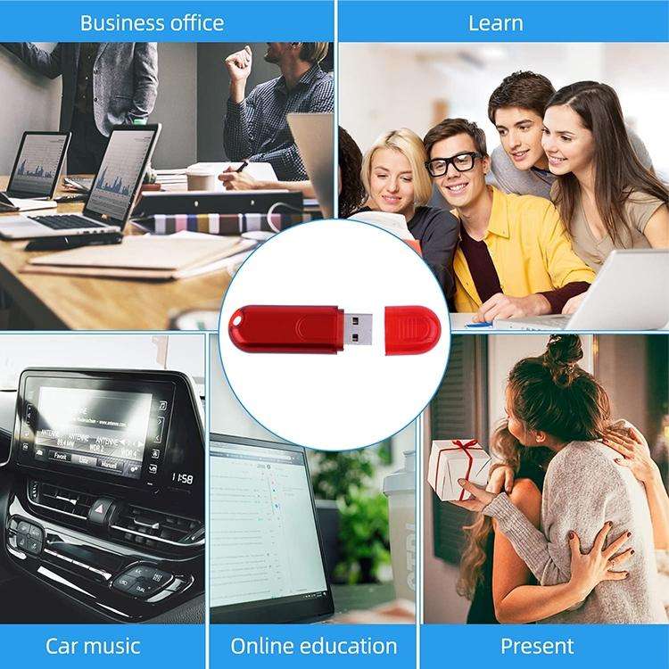 2GB USB Flash Disk(Red)