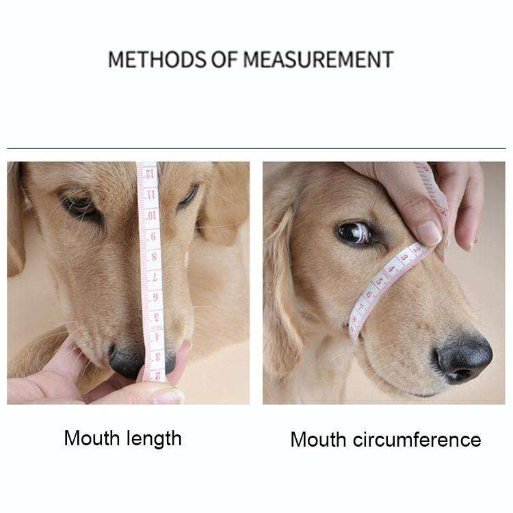 Steel Cage Style Dog Basket Wire Muzzle Protective Snout Cover with Leather Strap, Size: XXL