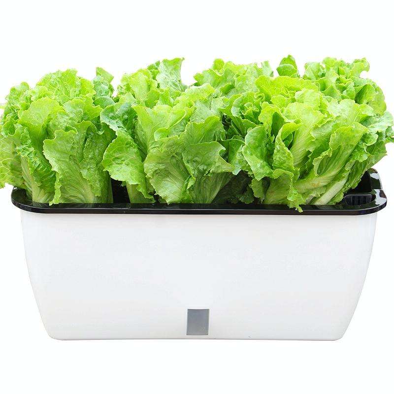 Family Balcony Rectangular Plastic Self-Absorbent Vegetable Growing Pot Flower Pot, Style: SC02 B...