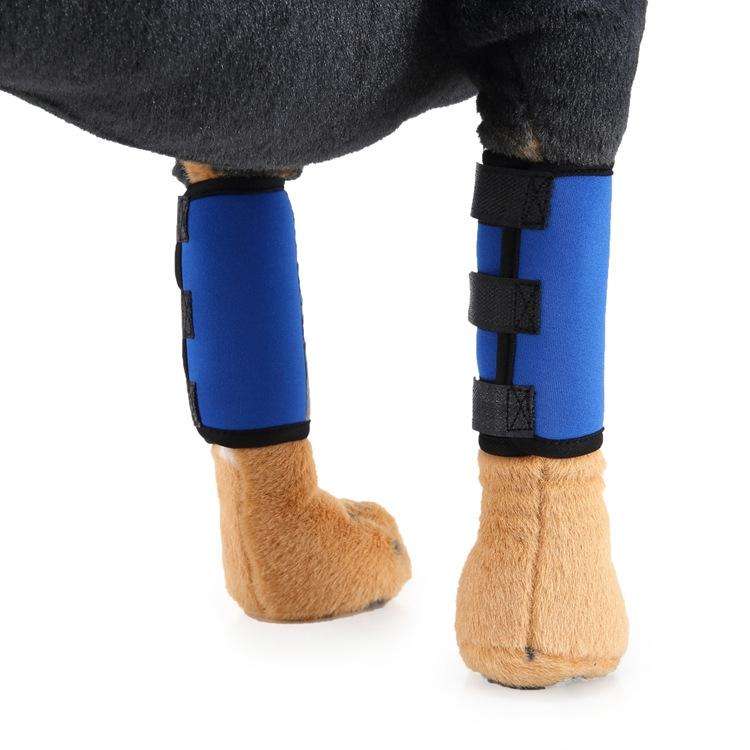 Pet Knee Protector Dog Surgery Injury Protective Cover, Size: M(Blue Reflection)