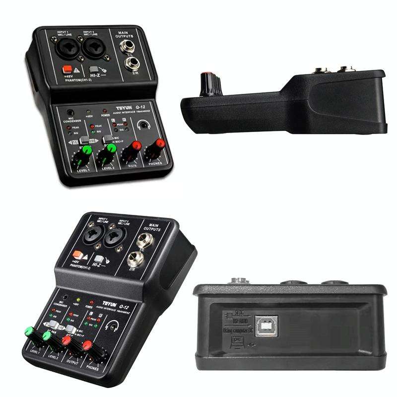 TEYUN Q-12 Computer Recording Sound Card USB Drive-free Recording Arranger(Black)