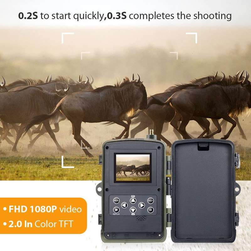 HC801LTE 4G EU Version Waterproof IP65 IR Night Vision Security 16MP Hunting Trail Camera, 120 De...