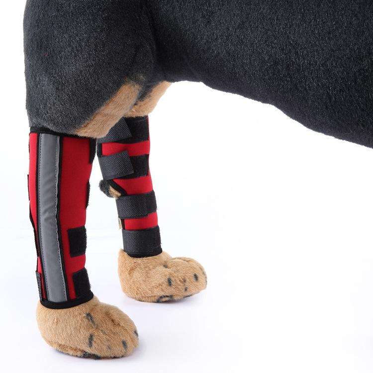 Pet Knee Pads Dog Leg Guards Pet Protective Gear Surgery Injury Sheath, Size: S(HJ29 Reflective W...