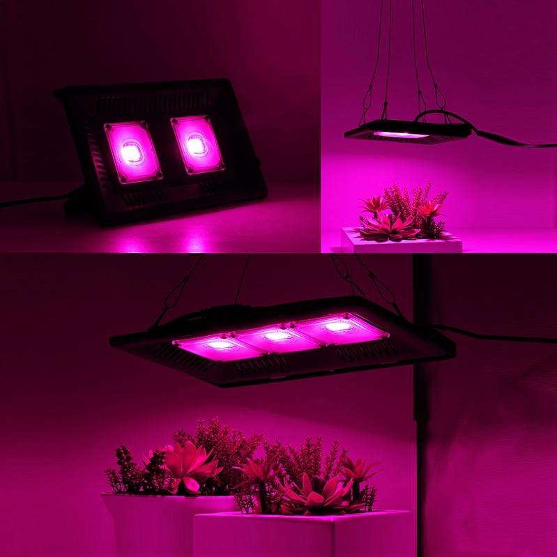 50W Ultra-Thin LED Plant Light, Full Spectrum COB Growth Light, Vegetable, Fruit & Flower Greenho...
