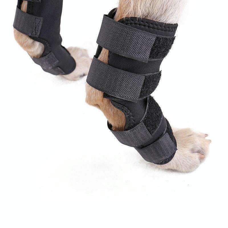 DogLemi PD60041 Dog Hock Brace Pet Supportive Rear Dog Compression Leg Joint Wrap Protects Wounds...