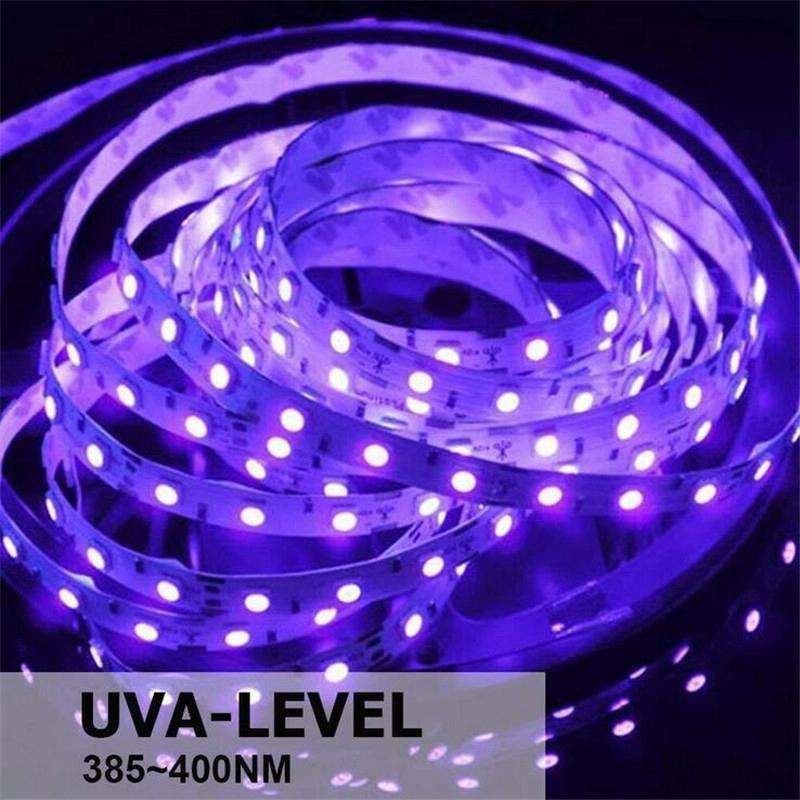 3528 SMD UV Purple Light Strip Epoxy LED Lamp Decorative Light Strip, Style:Bare Board 10m(EU Plug)