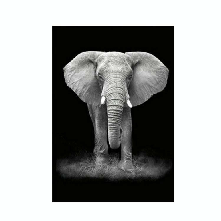 Simple Black and White Animal Decoration Painting Study Living Room Sofa Background Wall Painting...