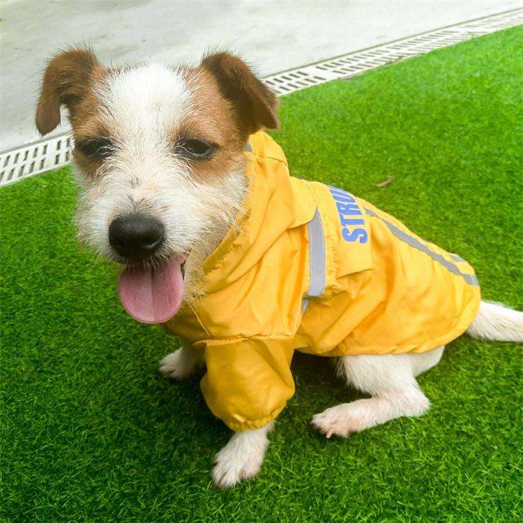 Foldable Reflective Stripe Hooded Pet Raincoat Dog Waterproof Clothing, Size:L(Fluorescent Yellow)