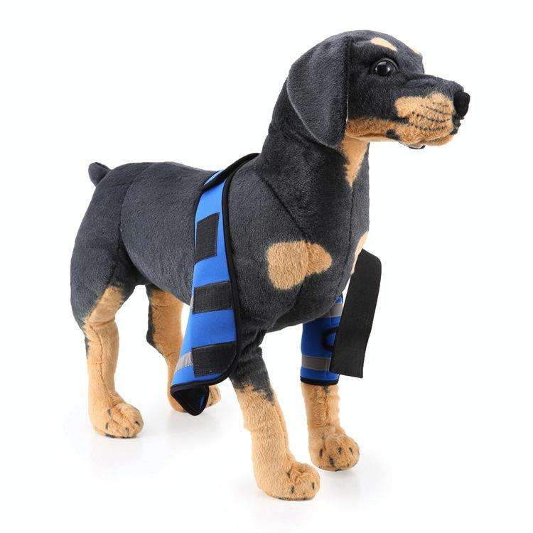 Pet Dog Leg Knee Guard Surgery Injury Protective Cover, Size: M(Anti-glory Model (Blue))