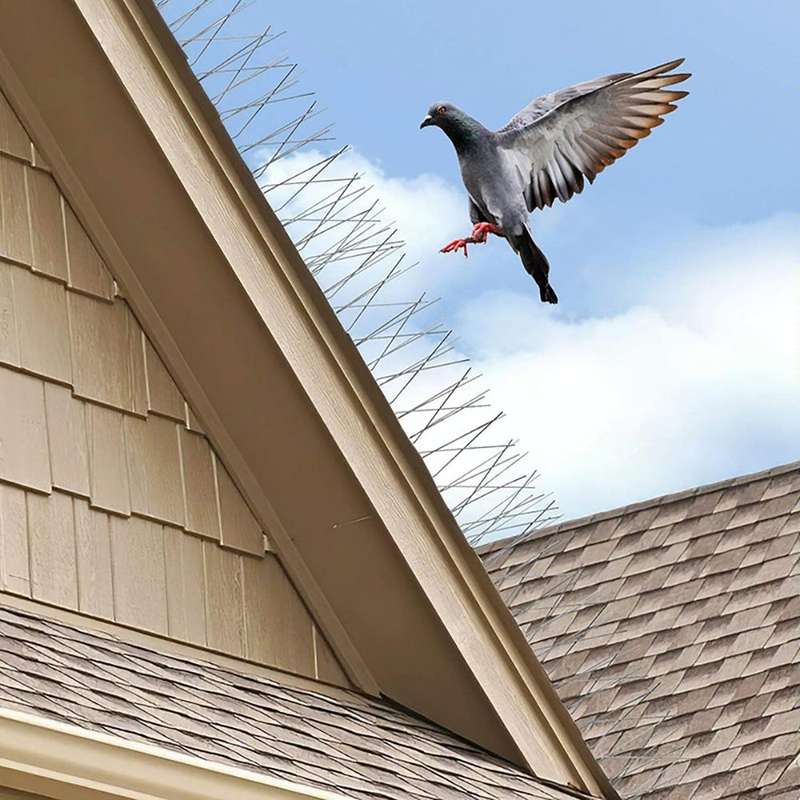 10 Sets 25cm Long Stainless Steel Bird Repellent Thorn Anti-cat Thorn Bird Device
