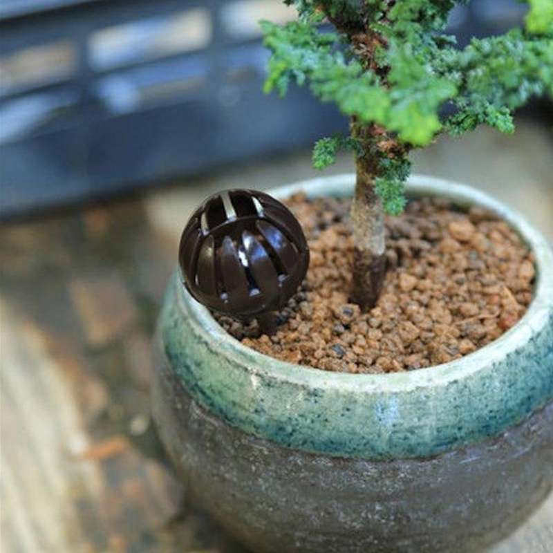 10PCS Bonsai Tools Gardening Products Gardening Tools Bonsai Fertilizer Boxes,Large Size:5.5*4*4c...