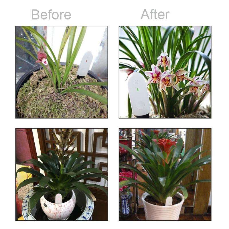 WN1803 Intelligent Soil Moisture Meter Tester Moisture Analysis Measuring Instrument Flowers Gras...