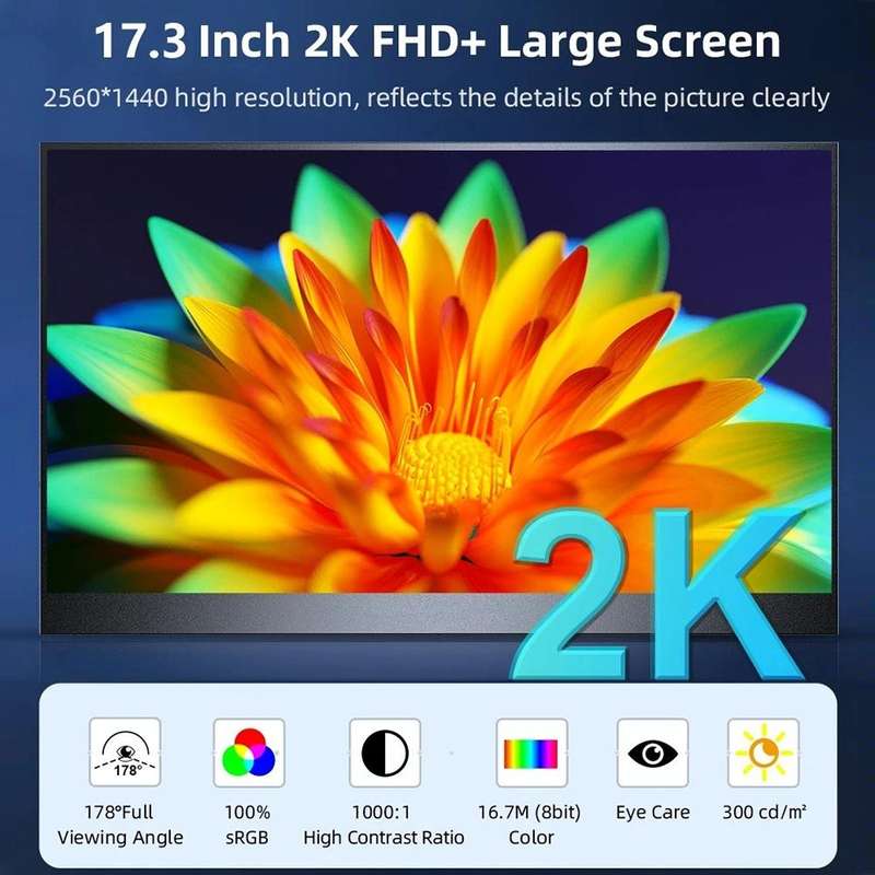 17.3 inch UHD 2560x1440P IPS Screen Portable Monitor(No Charger)