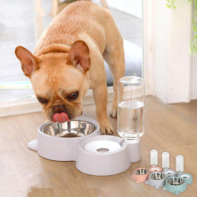 Pet Supplies Automatic Waterer Cat and Dog Food Bowl Double Bowl(Gray)