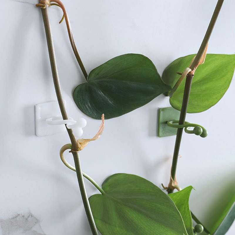 Large 50pcs Plant Climbing Wall Buckle Vine Traceless Plant Fixer Self-Adhesive Hooks(Green)
