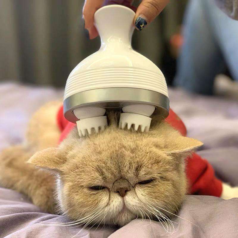 iKristin IK-T1 USB Charging Multi-function Household Pet Head Massager Manual Scalp Electric Mass...