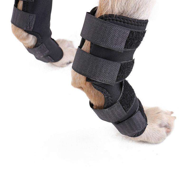 DogLemi PD60041 Dog Hock Brace Pet Supportive Rear Dog Compression Leg Joint Wrap Protects Wounds...