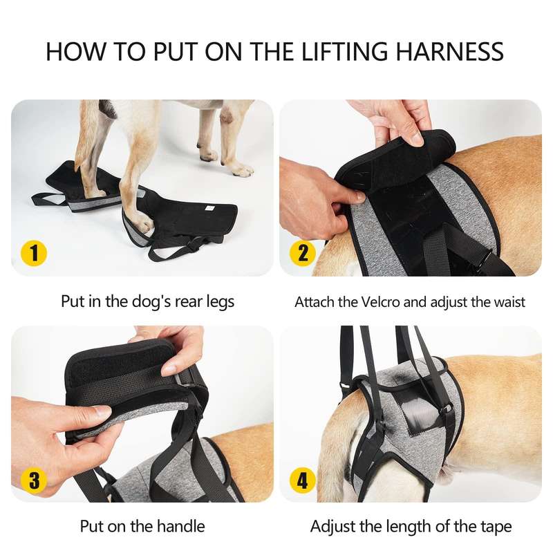 Dog Hind Leg Auxiliary Strap Decompression Auxiliary Travel Belt For Elderly and Injured Dog, Siz...