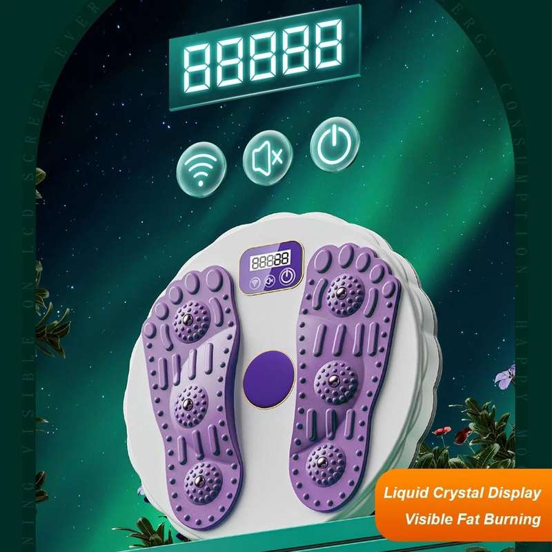 Rotating Waist Disc Twist Machine with Electronic Counter Magnetic Massage for Body Shaping, Colo...