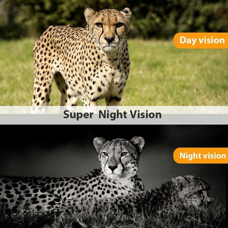 HC801LTE 4G US Version Waterproof IP65 IR Night Vision Security 16MP Hunting Trail Camera, 120 De...