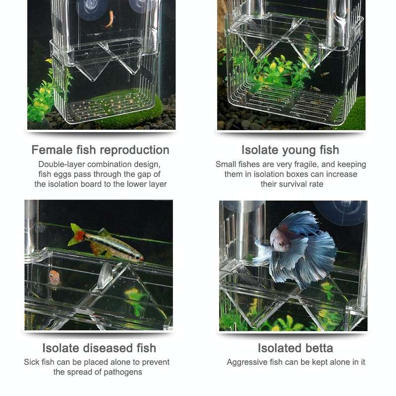 Small Peacock Fish Double Layer Transparent Breeding Isolation Box Aquarium Breeding Box