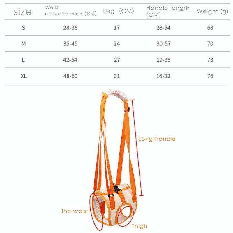 Pet Leash Assistive Belt For Postoperative Disabled Elderly Dogs Hind Legs XL