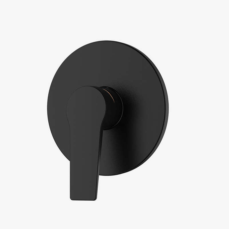 Franke Aspera Concealed Shower Mixer - Matt Black