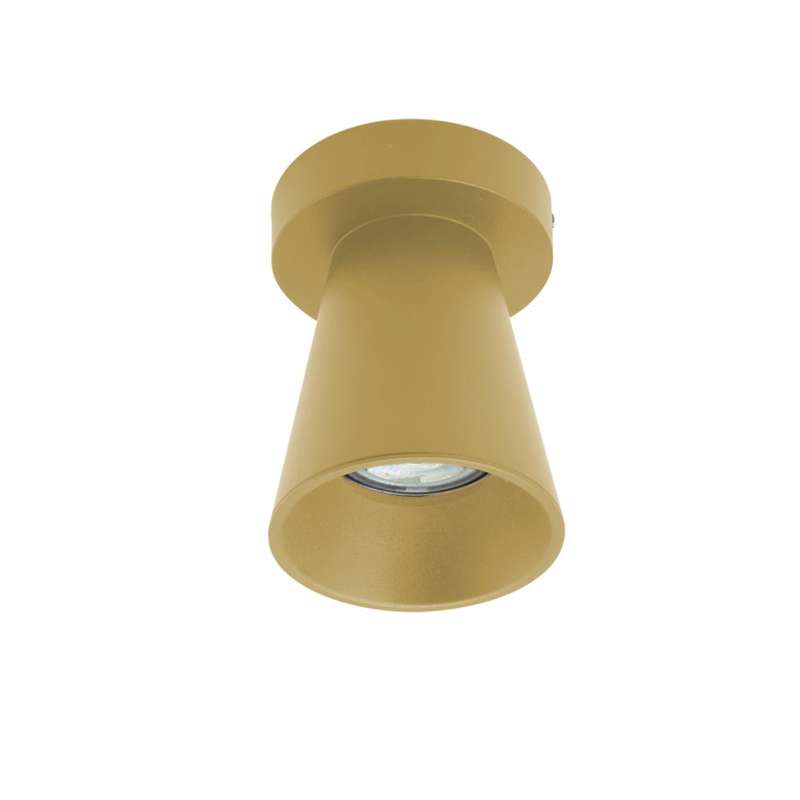 Spazio Kiddush Downlight