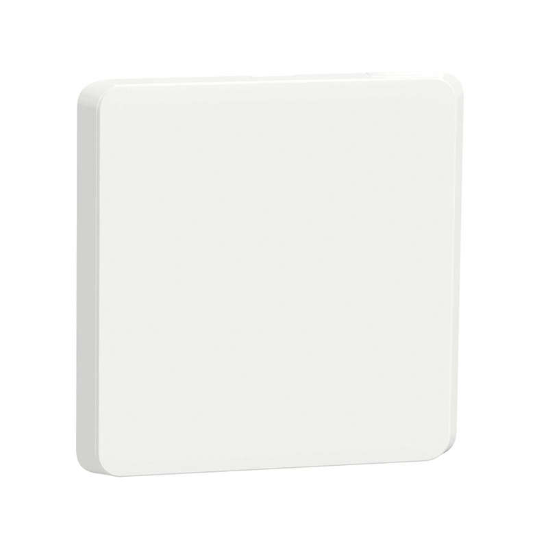 Schneider Electric Iconic Cover Plate Blank 4 x 4