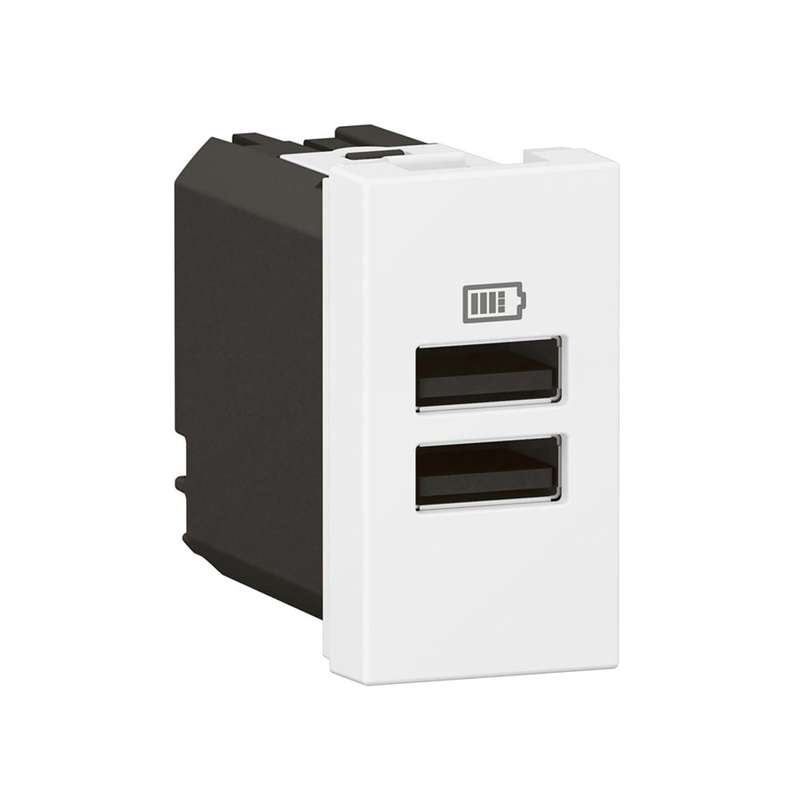 Legrand Arteor Double USB Type-A Socket Module