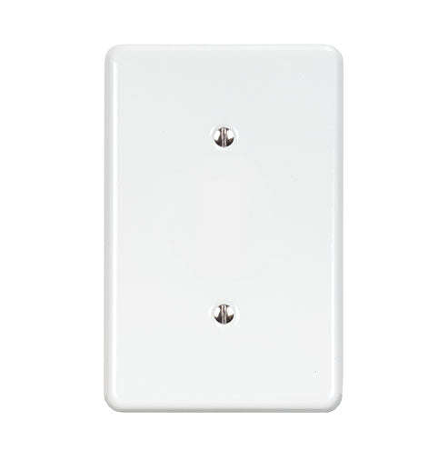 Lesco Steel Cover Plate Blank 2 x 4