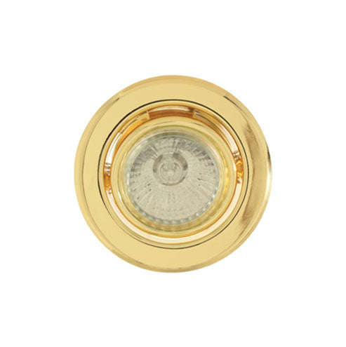 Eurolux Tiltable Pressed Steel Downlight 50W