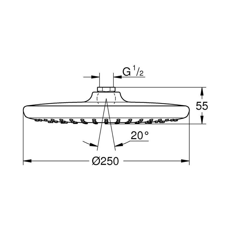 GROHE Tempesta 250 Shower Head Round