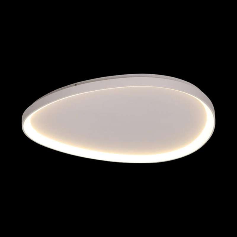 K. Light Ovoid Large LED Ceiling Light 3000K