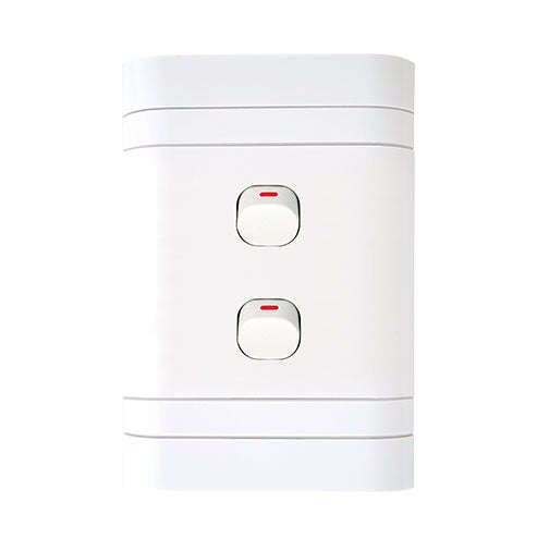 Lesco Cover Strip 2 Lever 1-Way Light Switch 2 x 4