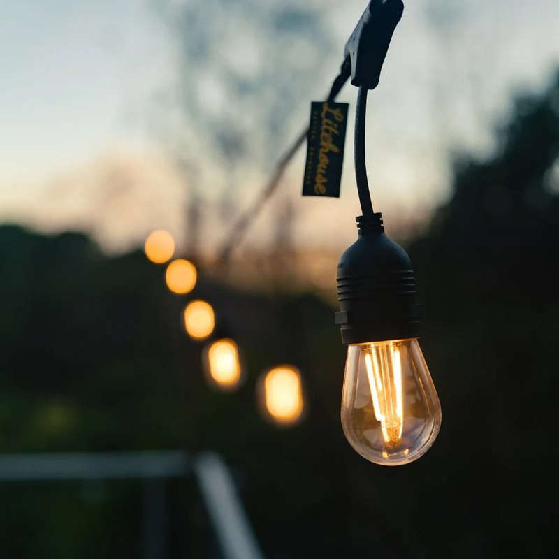 Litehouse Traditional LED Bulb Festoon String Lights