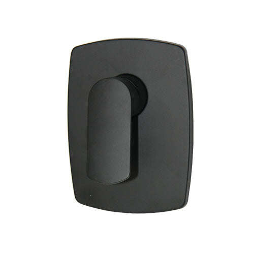 BluTide Spring Concealed Shower Mixer