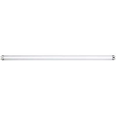 Fluorescent Tube T8 G13 36W Cool White - 4ft