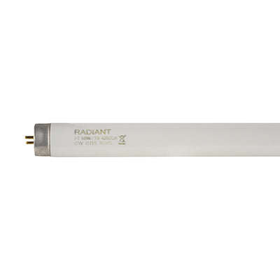 Fluorescent Tube T8 G13 58W Cool White - 5ft