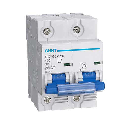 Chint 6kA 2 Pole C Curve Circuit Breaker - 125A
