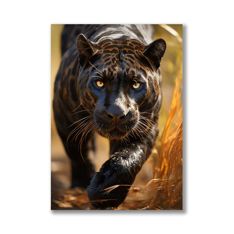 Canvas Wall Art: Midnight Panther Canvas Print