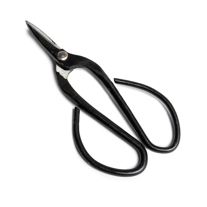 Bonsai Novice Tool Set