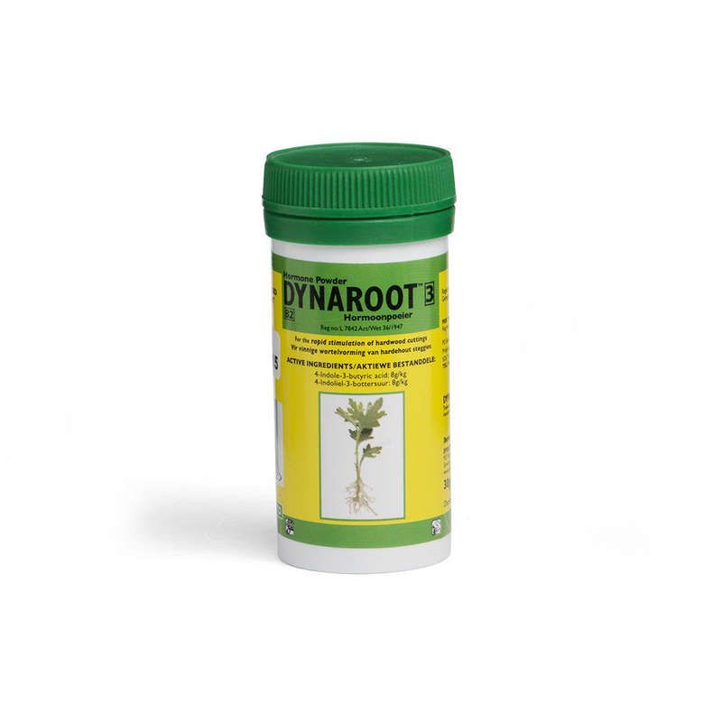 Dynaroot 3, 30g